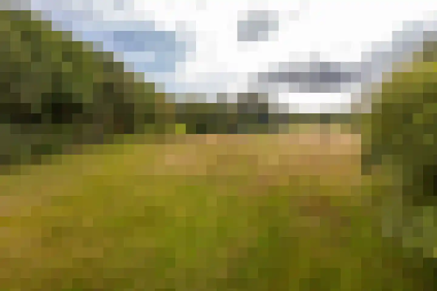 Skeanewei 31 Boornbergum thumbnail 32