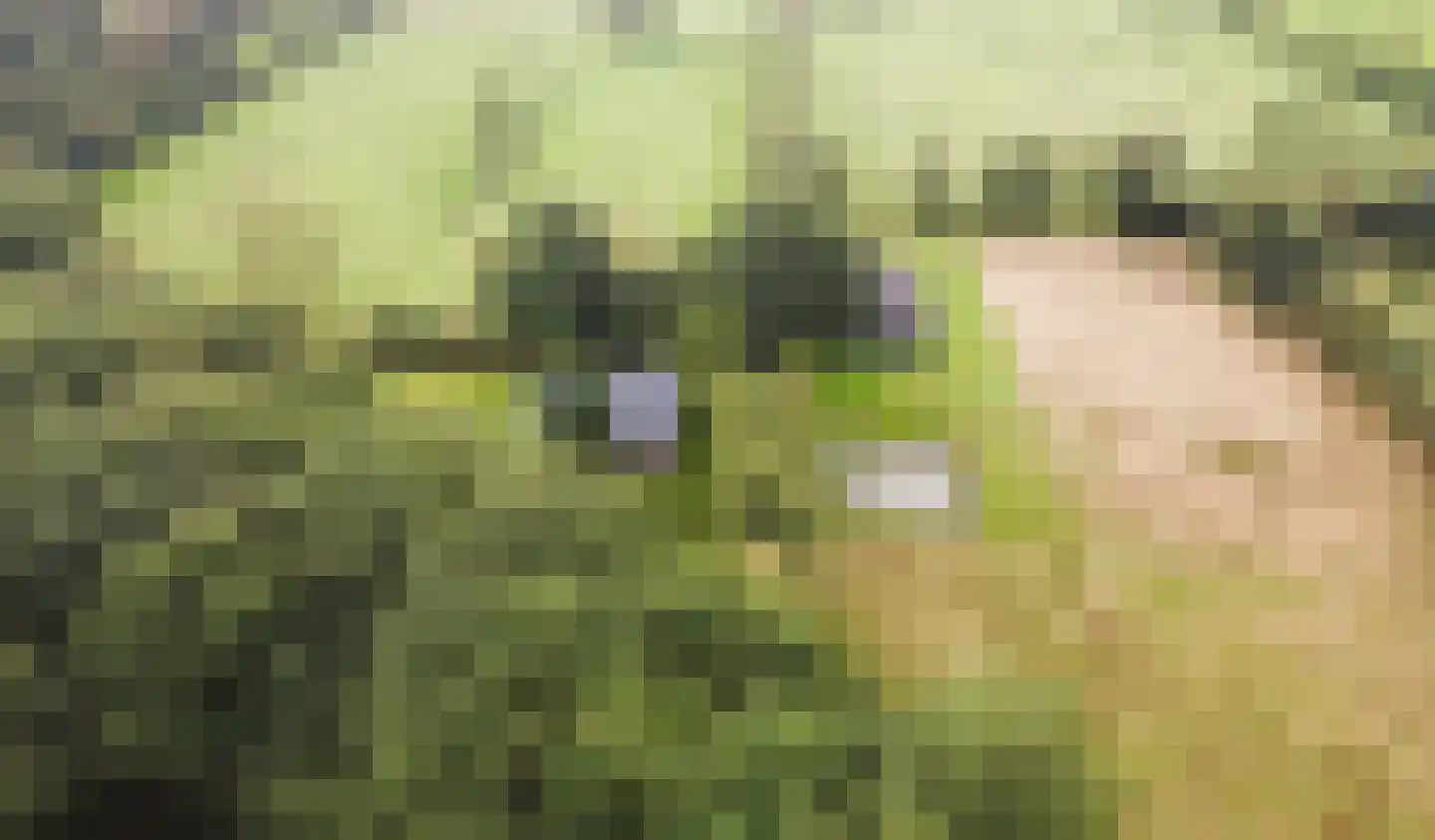 Skeanewei 31 Boornbergum thumbnail 33