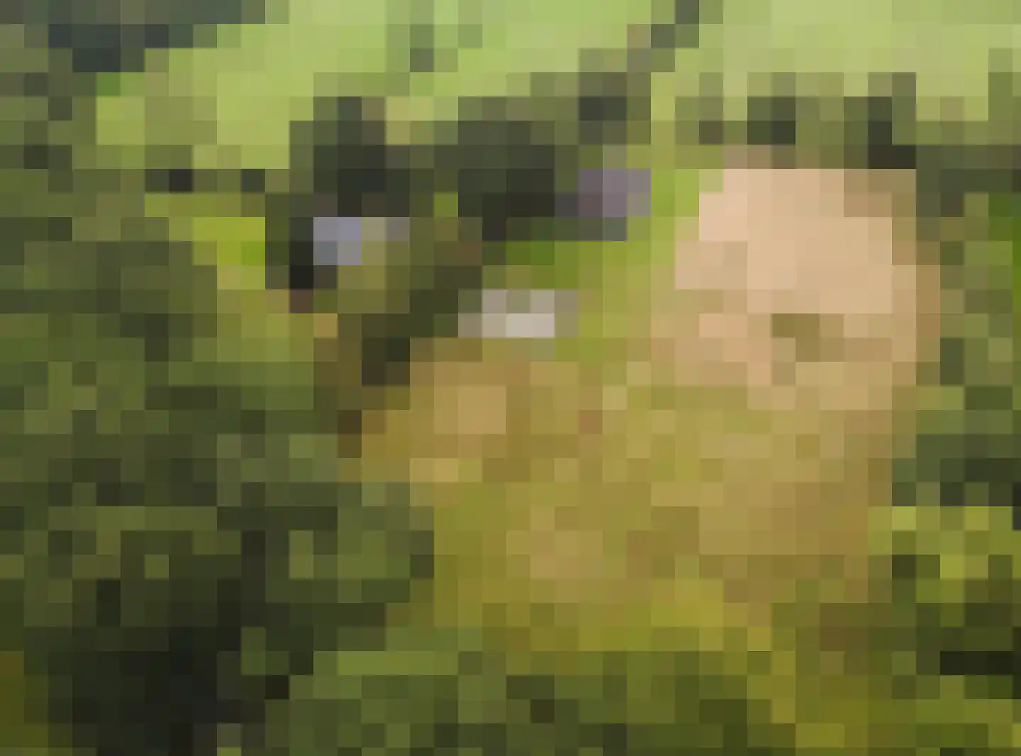 Skeanewei 31 Boornbergum thumbnail 34
