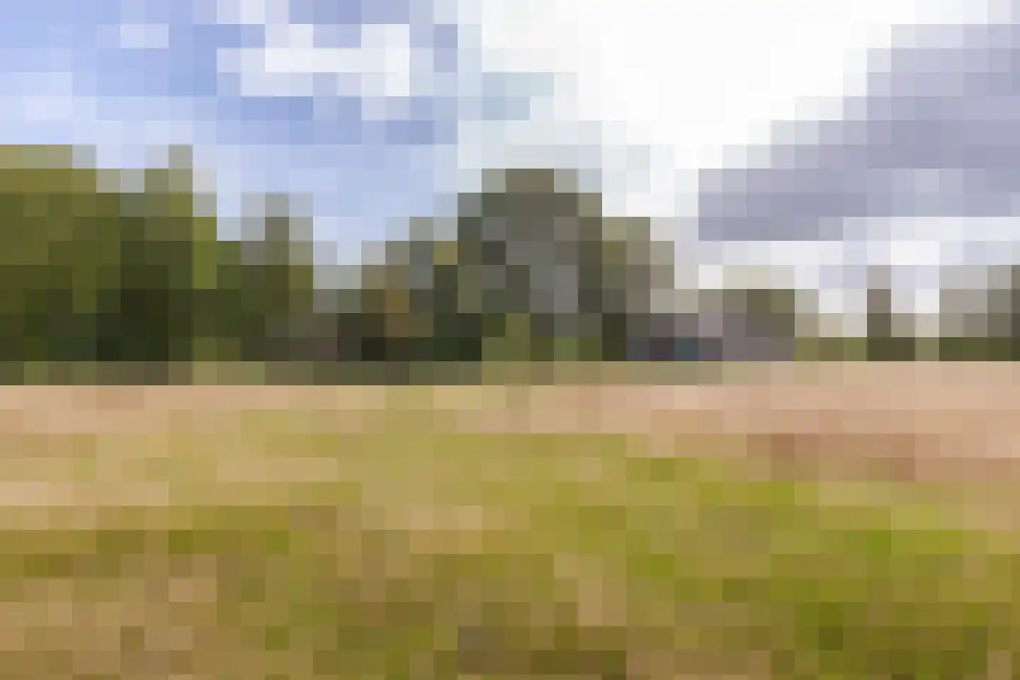 Skeanewei 31 Boornbergum thumbnail 4