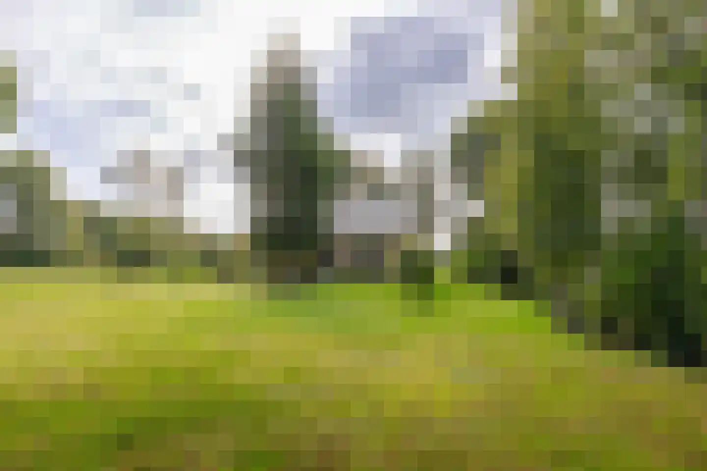 Skeanewei 31 Boornbergum thumbnail 5