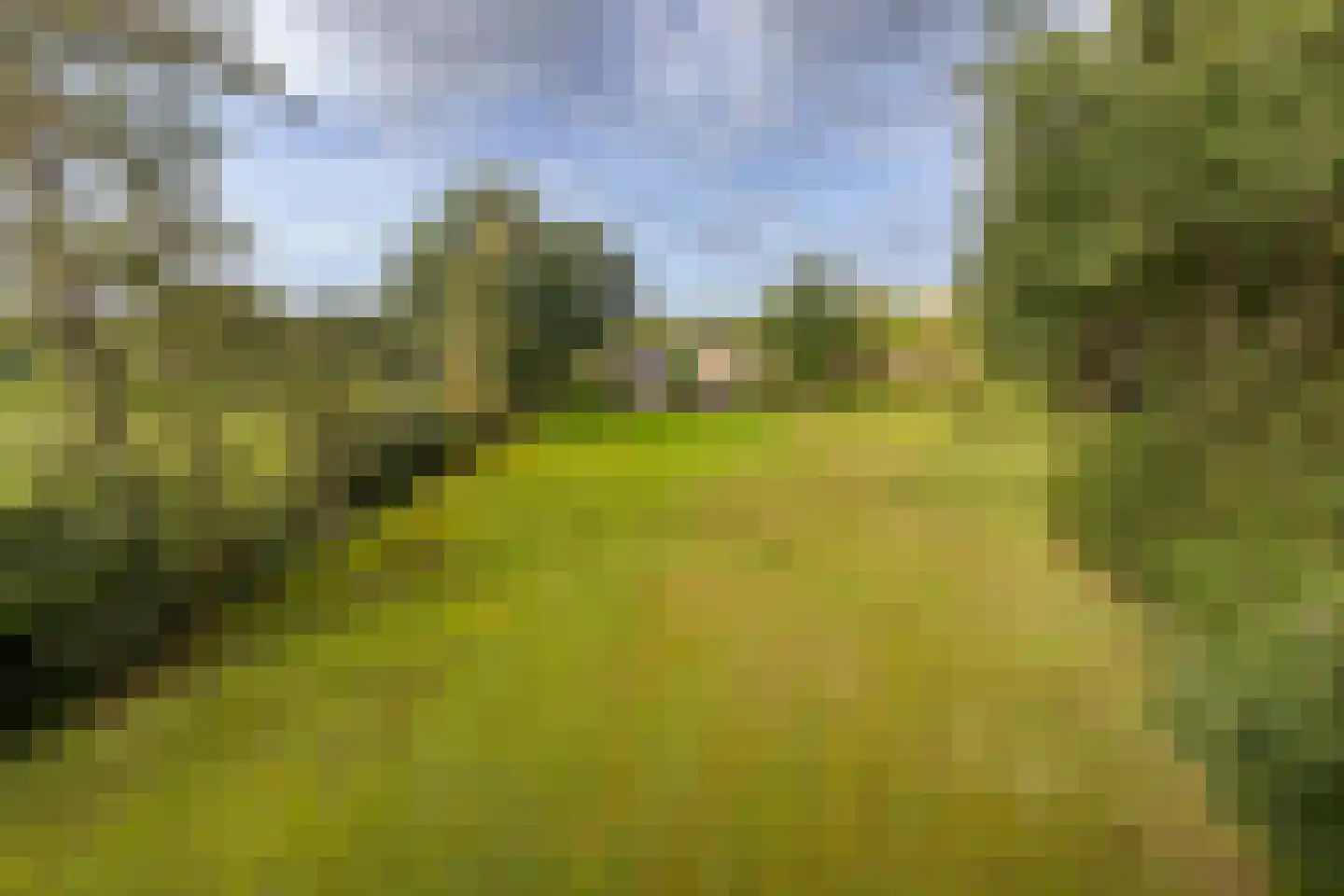 Skeanewei 31 Boornbergum thumbnail 6