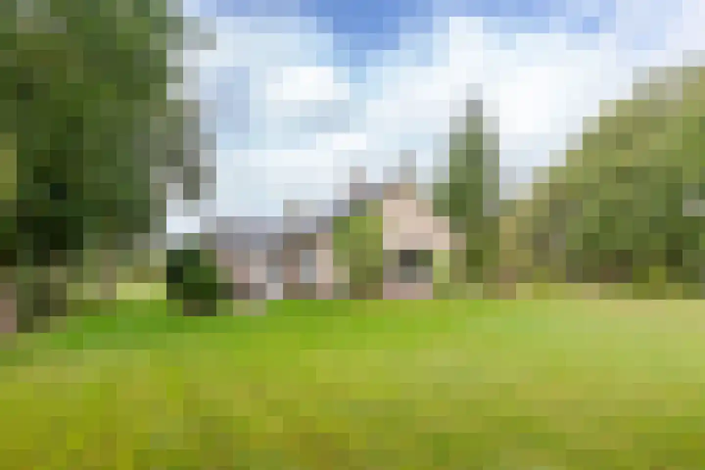 Skeanewei 31 Boornbergum thumbnail 8