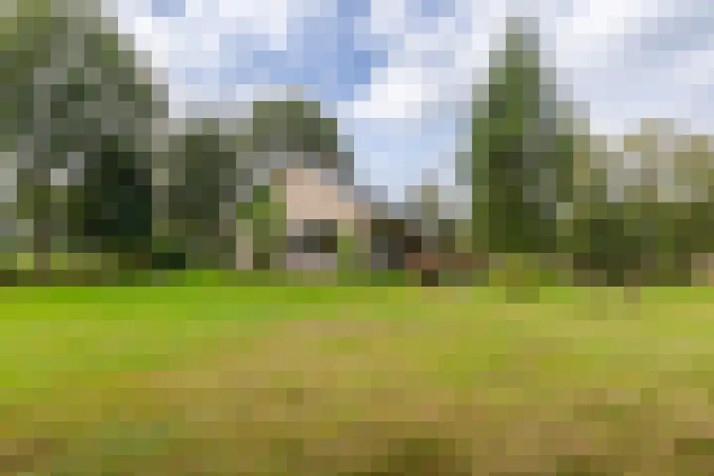 Skeanewei 31 Boornbergum thumbnail 9