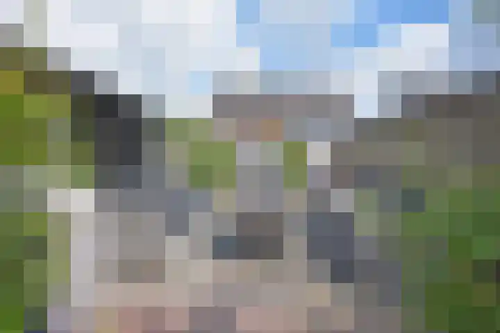 Skeanpaad 24 Garyp thumbnail 10