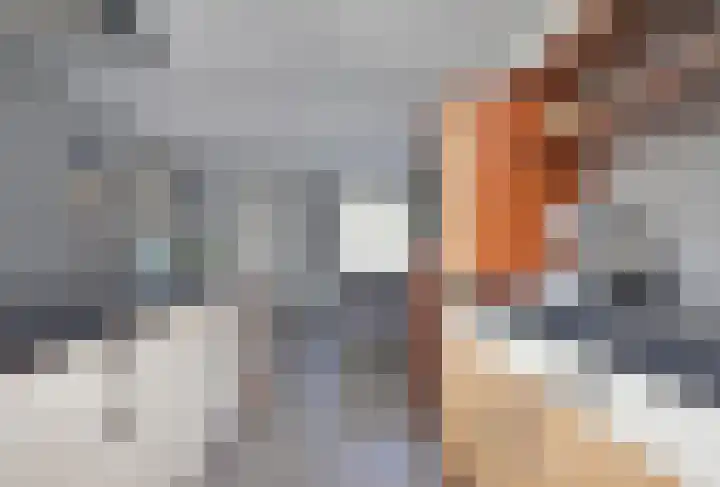 Skeanpaad 24 Garyp thumbnail 23