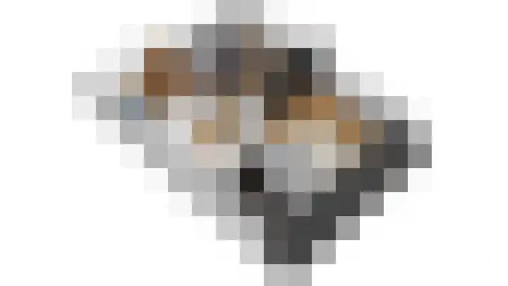 Skeanpaad 24 Garyp thumbnail 35