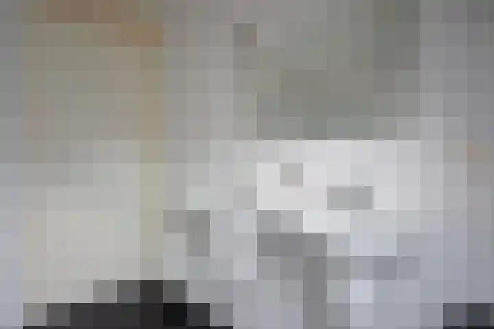 Skeanpaad 24 Garyp thumbnail 47