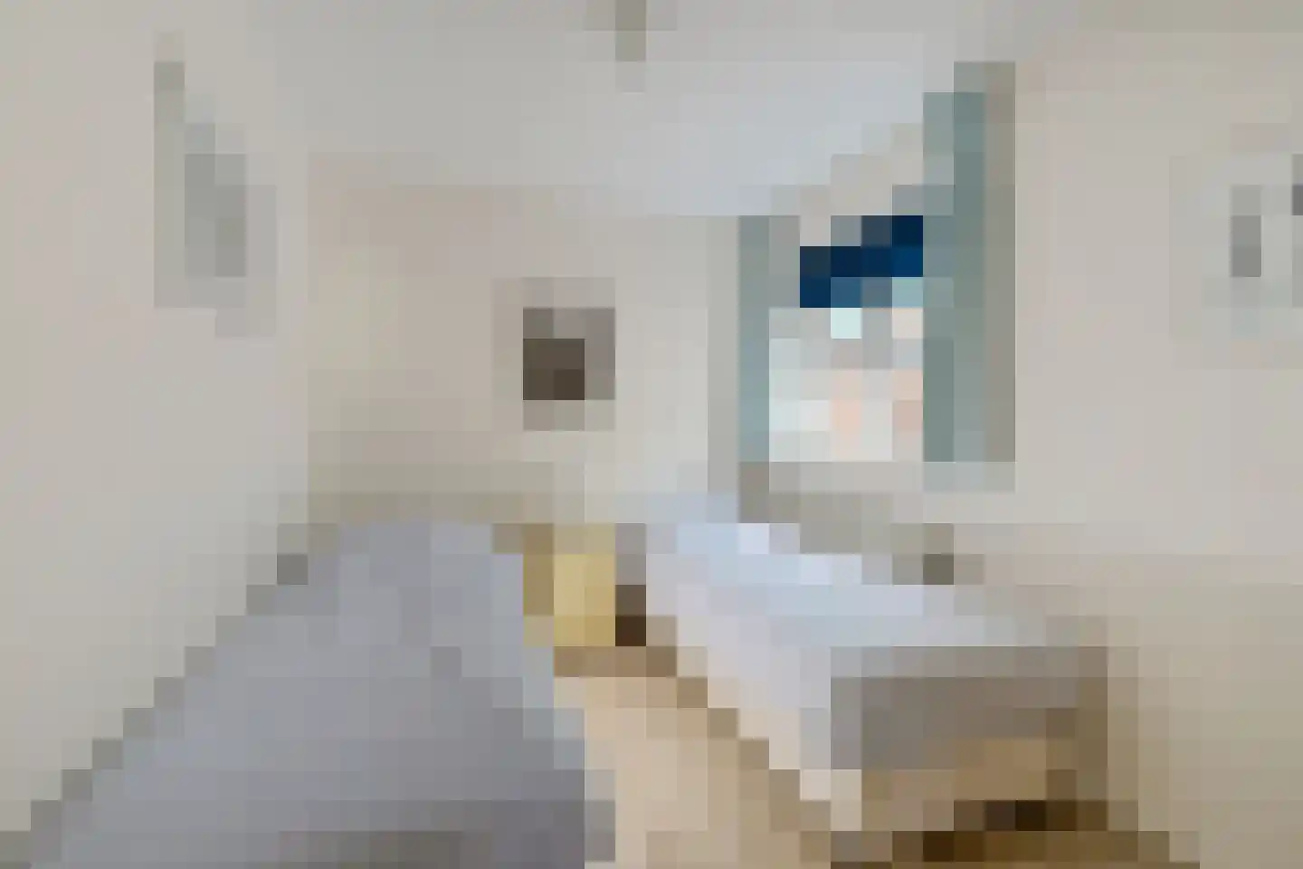 Skelpebank 12 Workum thumbnail 30