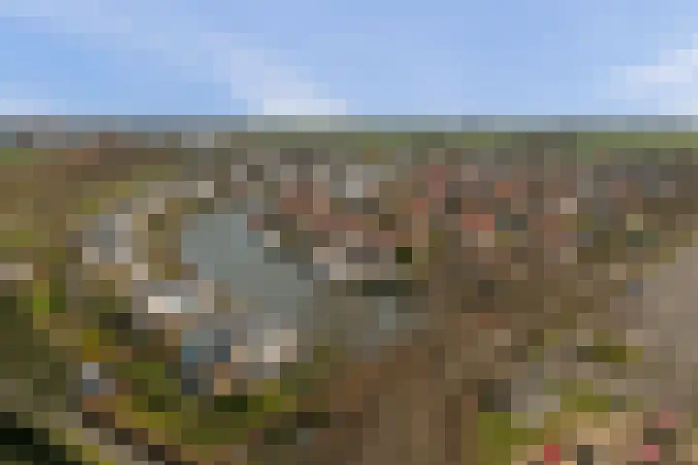 Skelpebank 15 Workum thumbnail 4