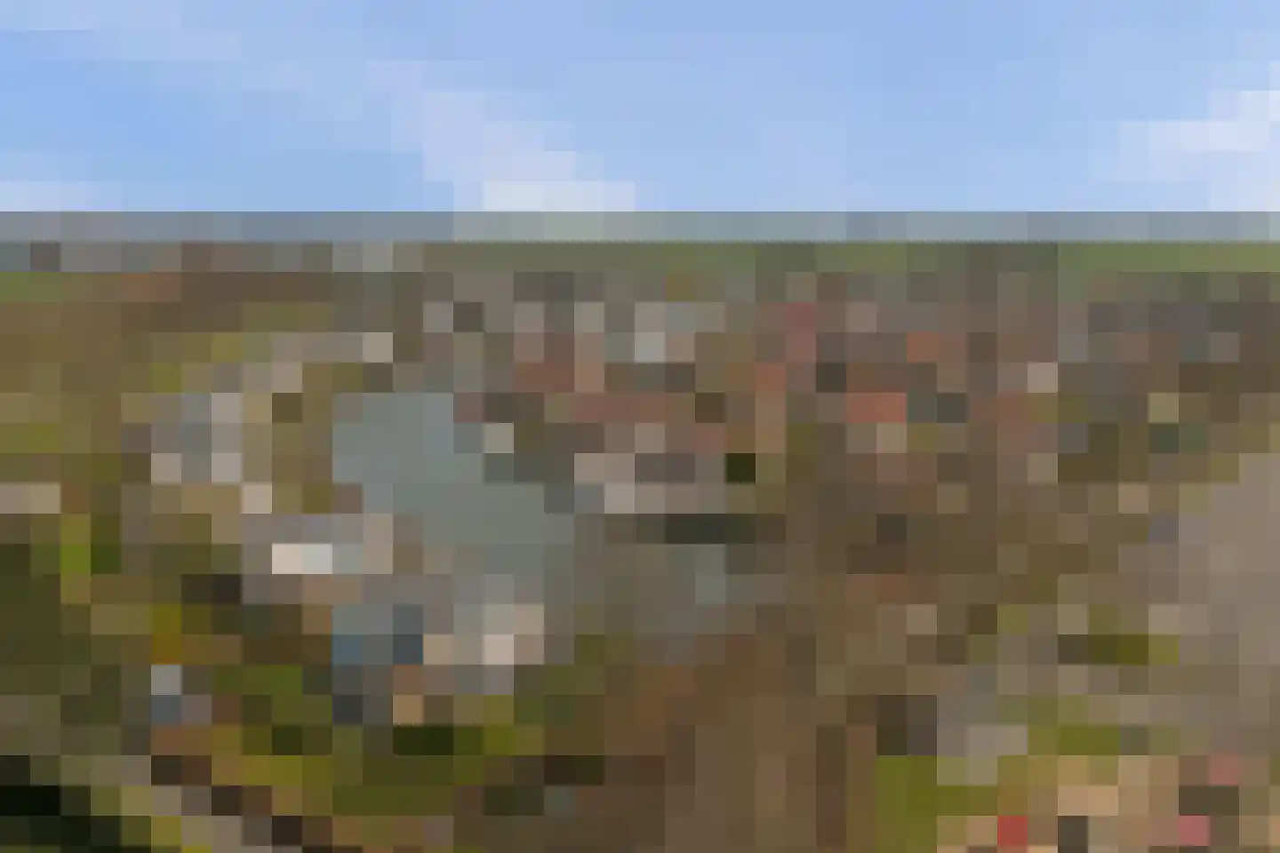 Skelpebank 15 Workum thumbnail 4