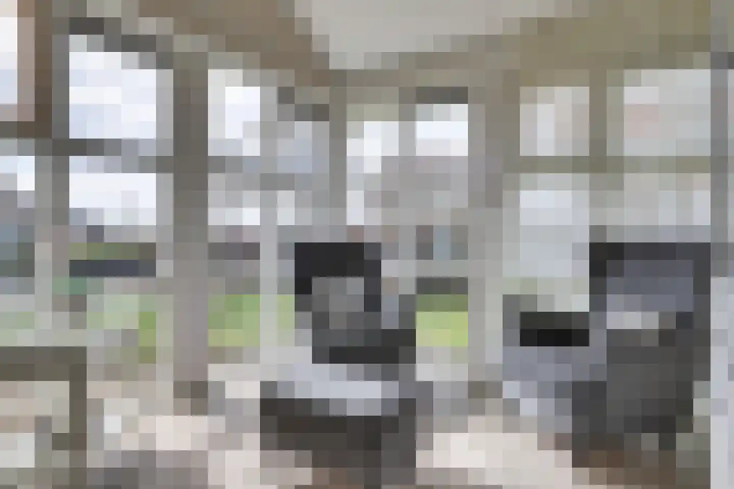 Skelpebank 15 Workum thumbnail 7