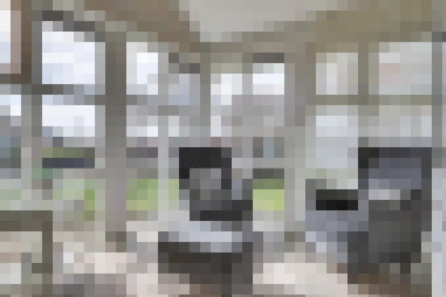 Skelpebank 15 Workum thumbnail 7
