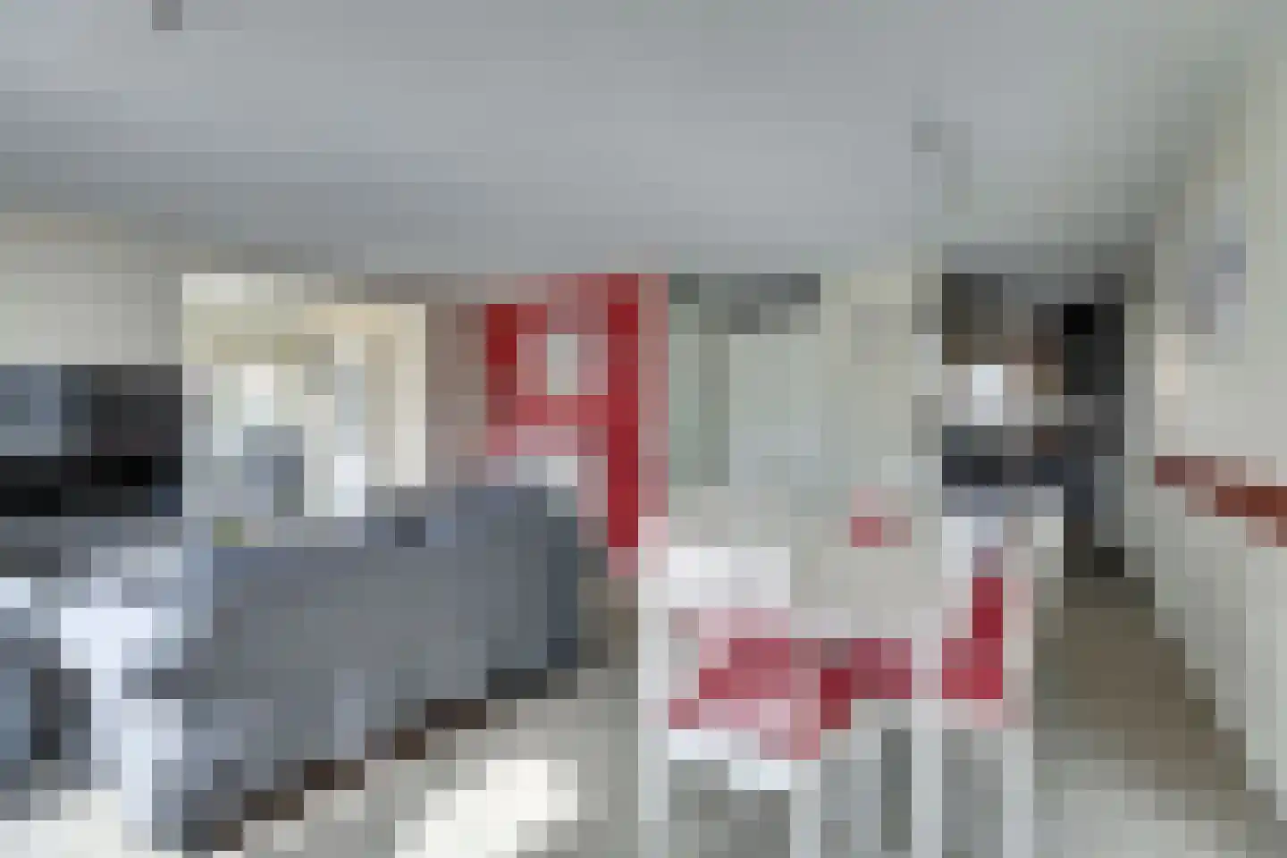 Skelpebank 15 Workum thumbnail 8