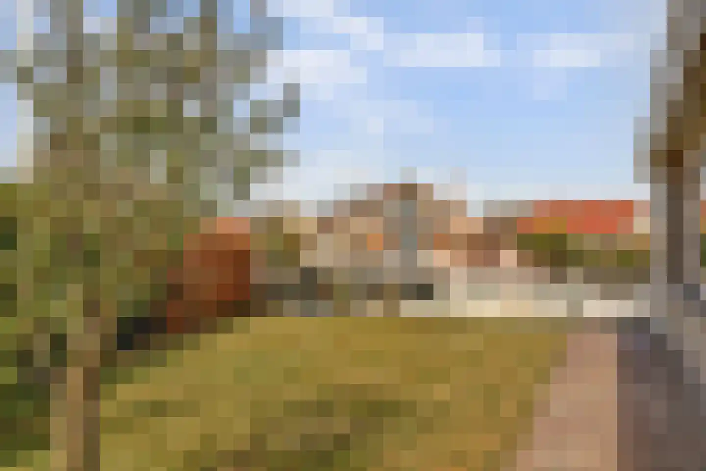 Skelpebank 39 Workum thumbnail 24