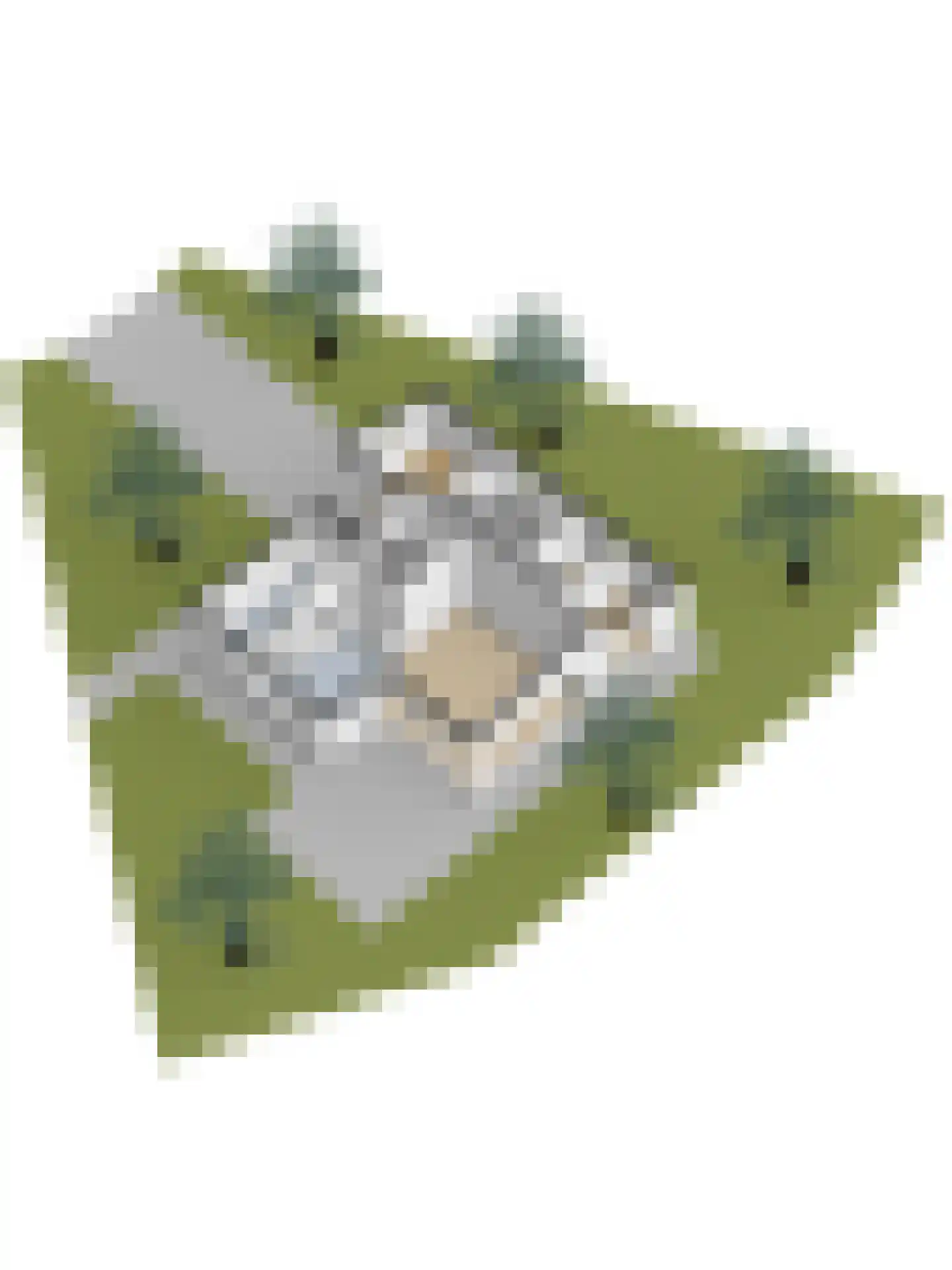 Skelpebank 39 Workum thumbnail 36