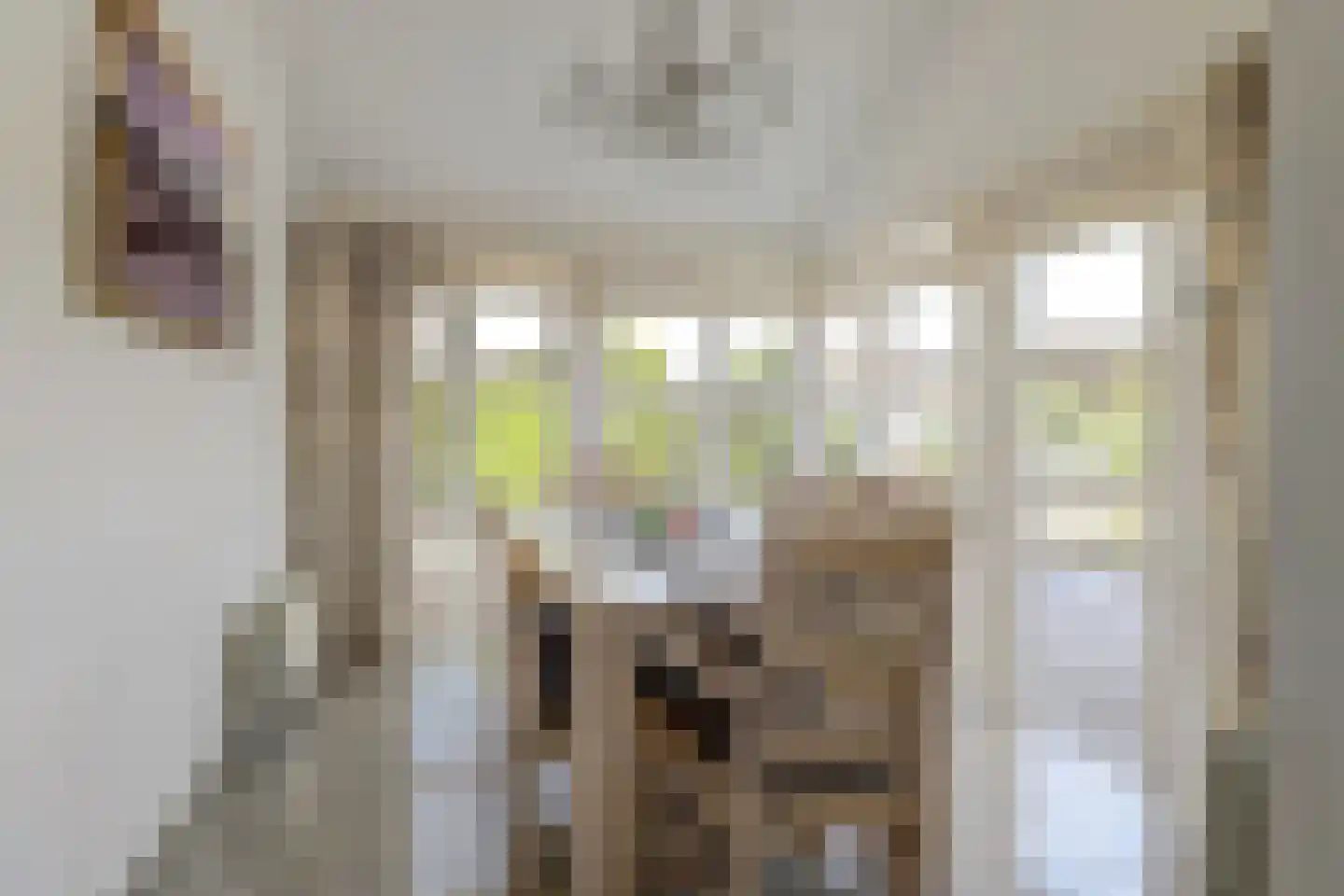 Skelpebank 53 Workum thumbnail 12