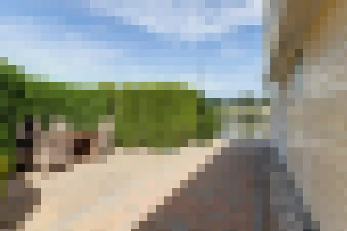 Skelpebank 53 Workum thumbnail 26