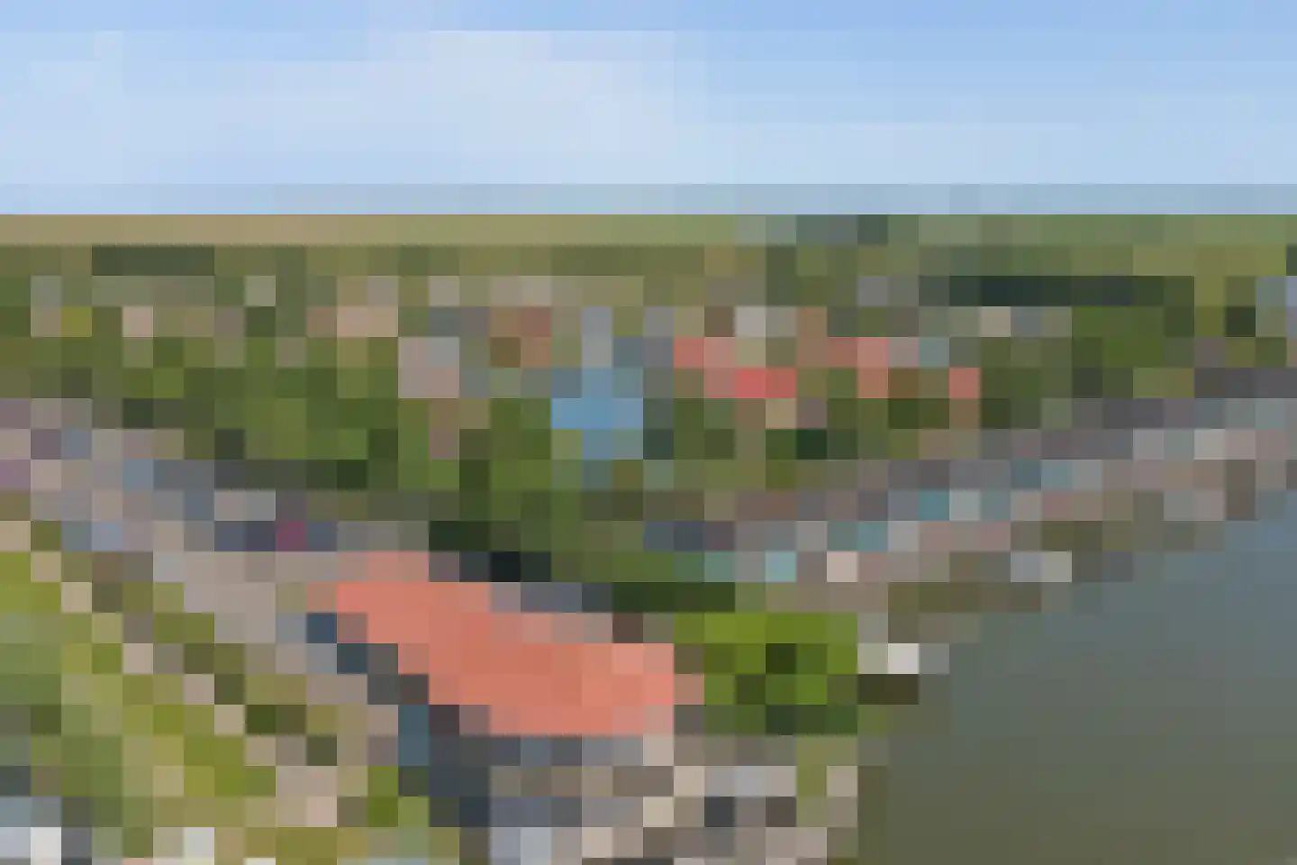 Skelpebank 53 Workum thumbnail 39