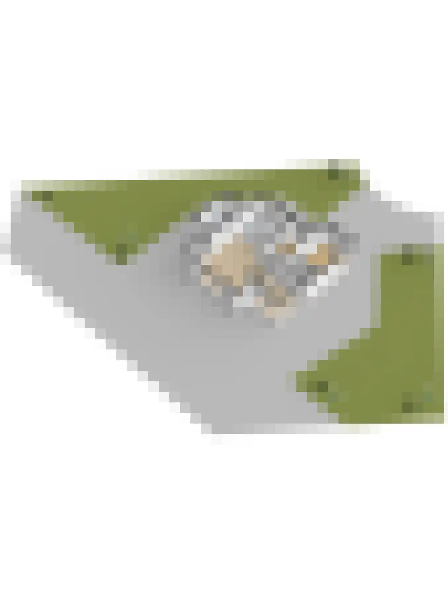 Skelpebank 53 Workum thumbnail 46