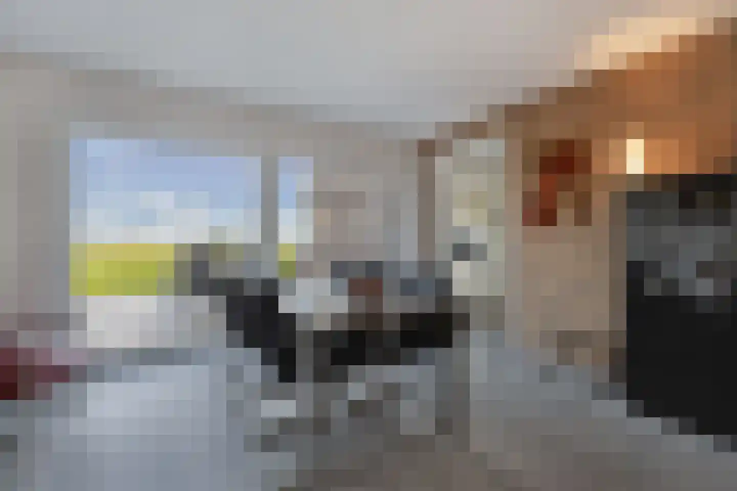 Skelte van Aysmastrjitte 12 Schettens thumbnail 10