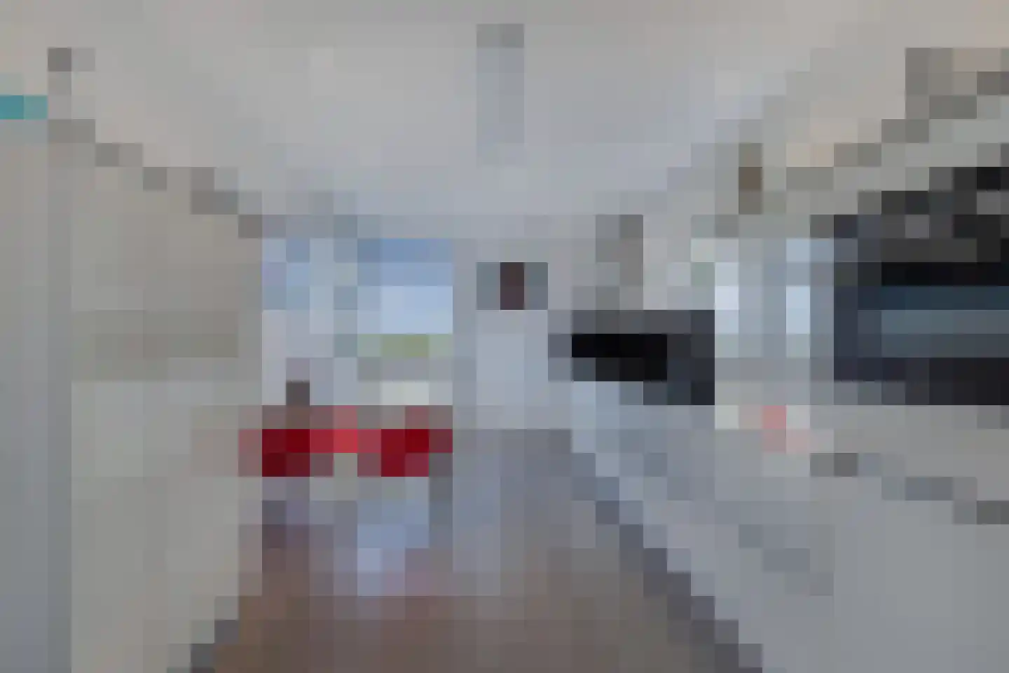 Skelte van Aysmastrjitte 12 Schettens thumbnail 11