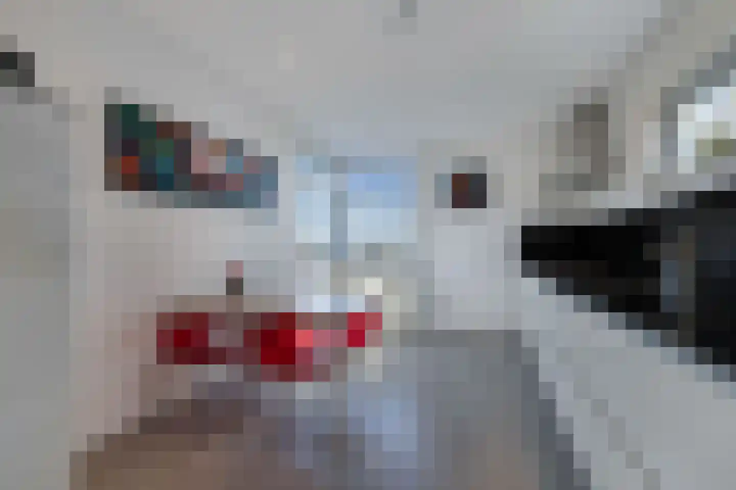 Skelte van Aysmastrjitte 12 Schettens thumbnail 13
