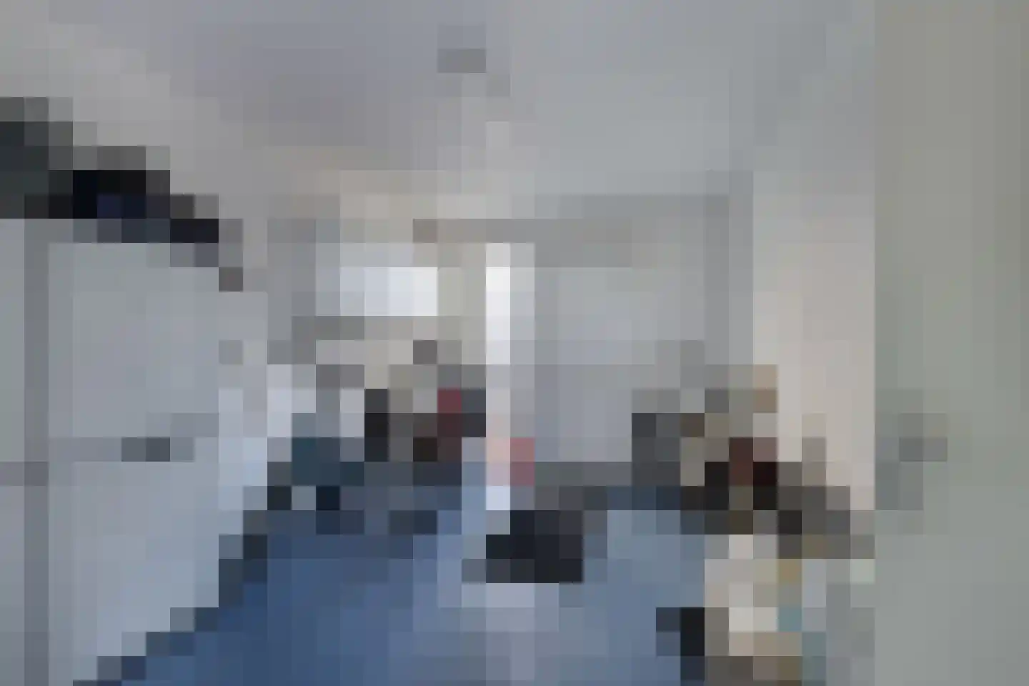 Skelte van Aysmastrjitte 12 Schettens thumbnail 17