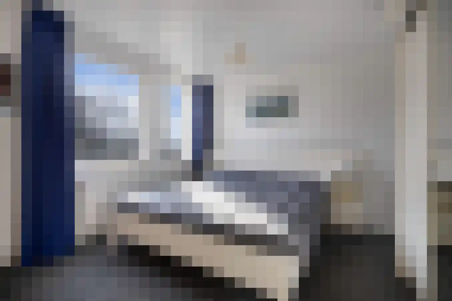 Skelte van Aysmastrjitte 12 Schettens thumbnail 30