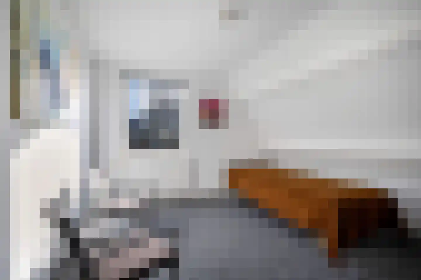Skelte van Aysmastrjitte 12 Schettens thumbnail 34