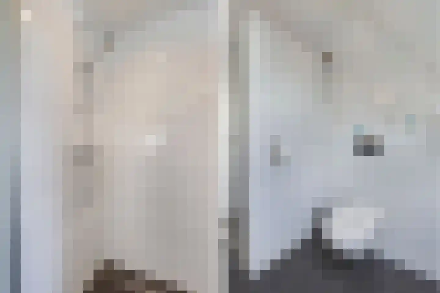 Skelte van Aysmastrjitte 12 Schettens thumbnail 38