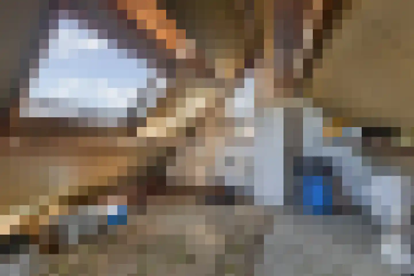 Skelte van Aysmastrjitte 12 Schettens thumbnail 39