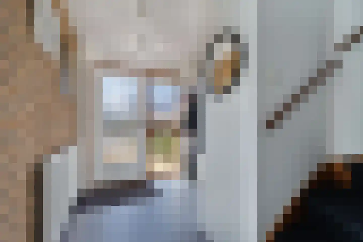 Skelte van Aysmastrjitte 12 Schettens thumbnail 4