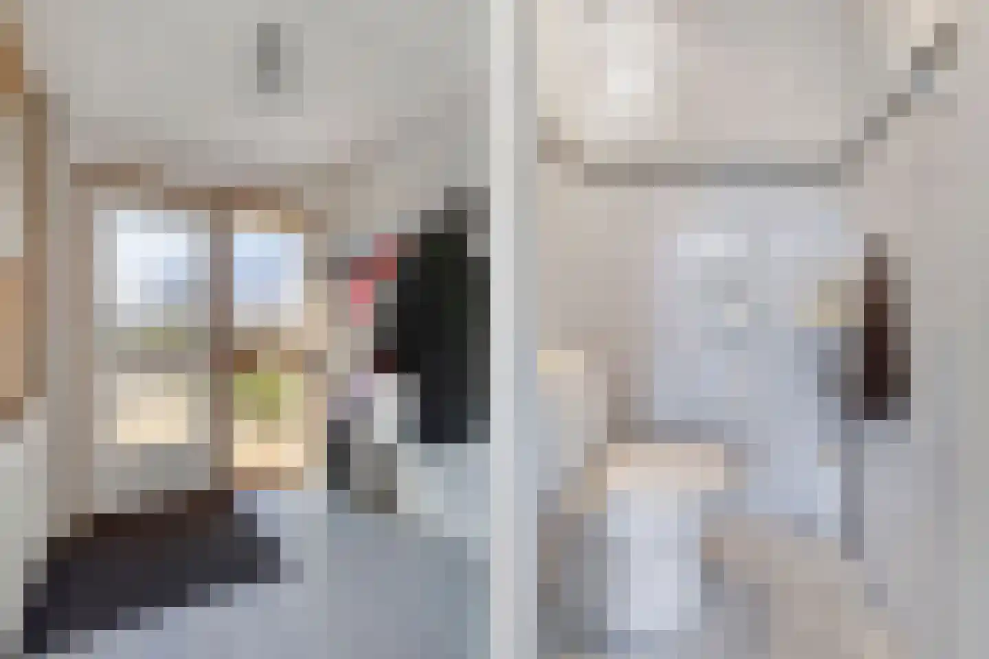 Skelte van Aysmastrjitte 12 Schettens thumbnail 5