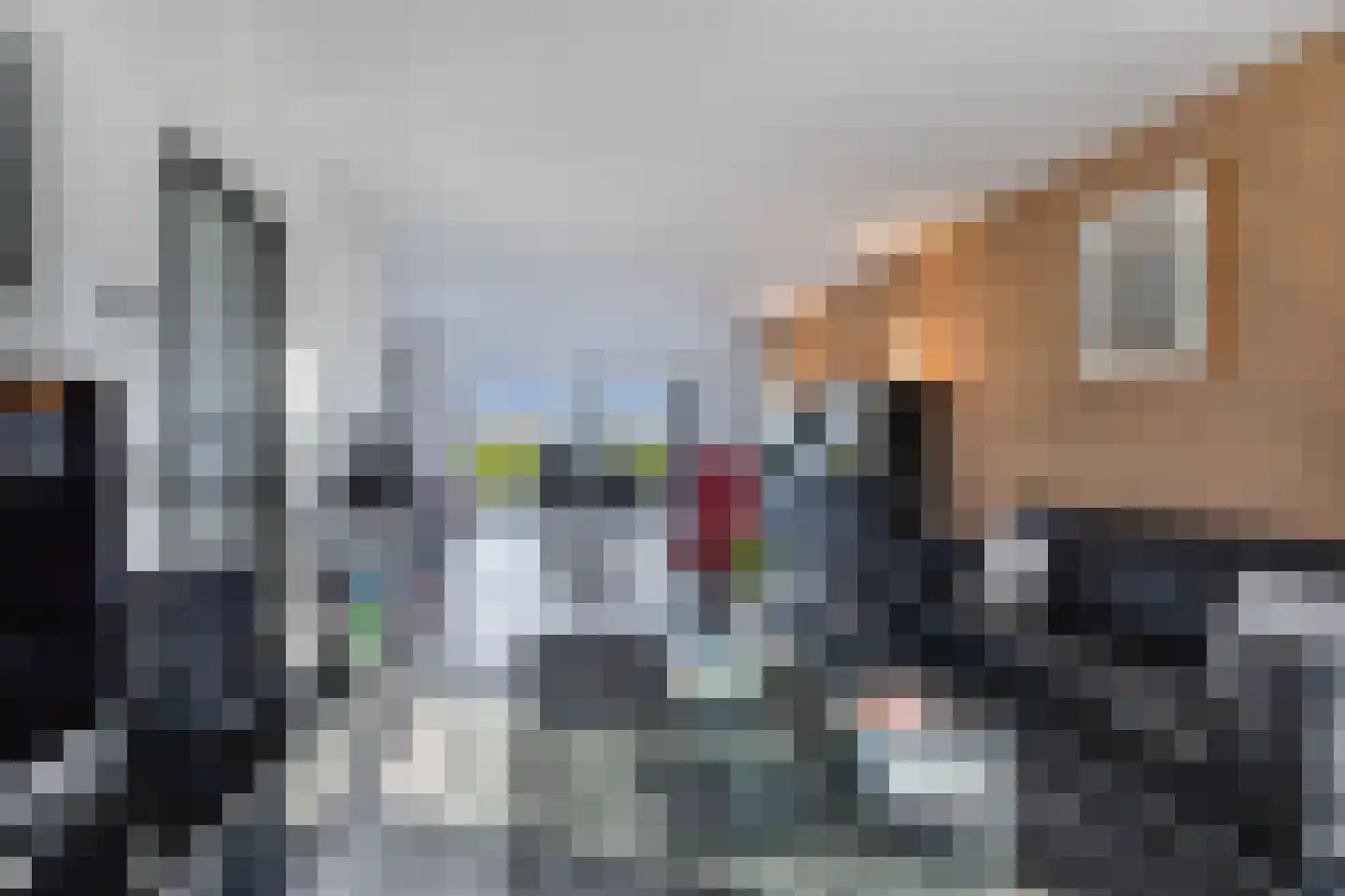 Skelte van Aysmastrjitte 12 Schettens thumbnail 8