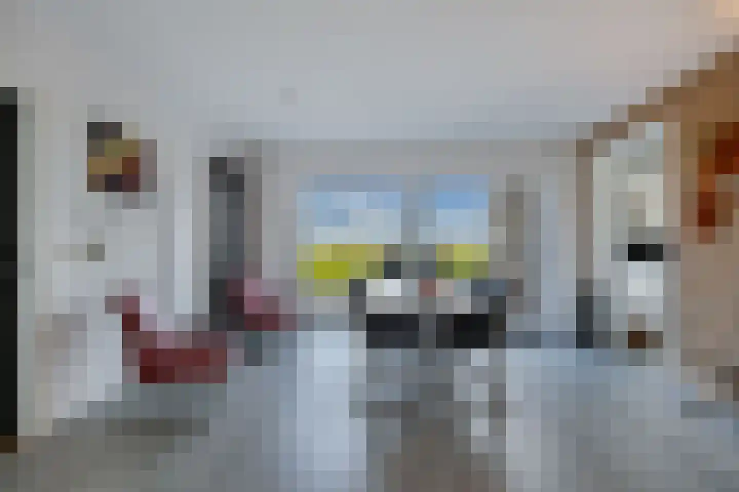 Skelte van Aysmastrjitte 12 Schettens thumbnail 9