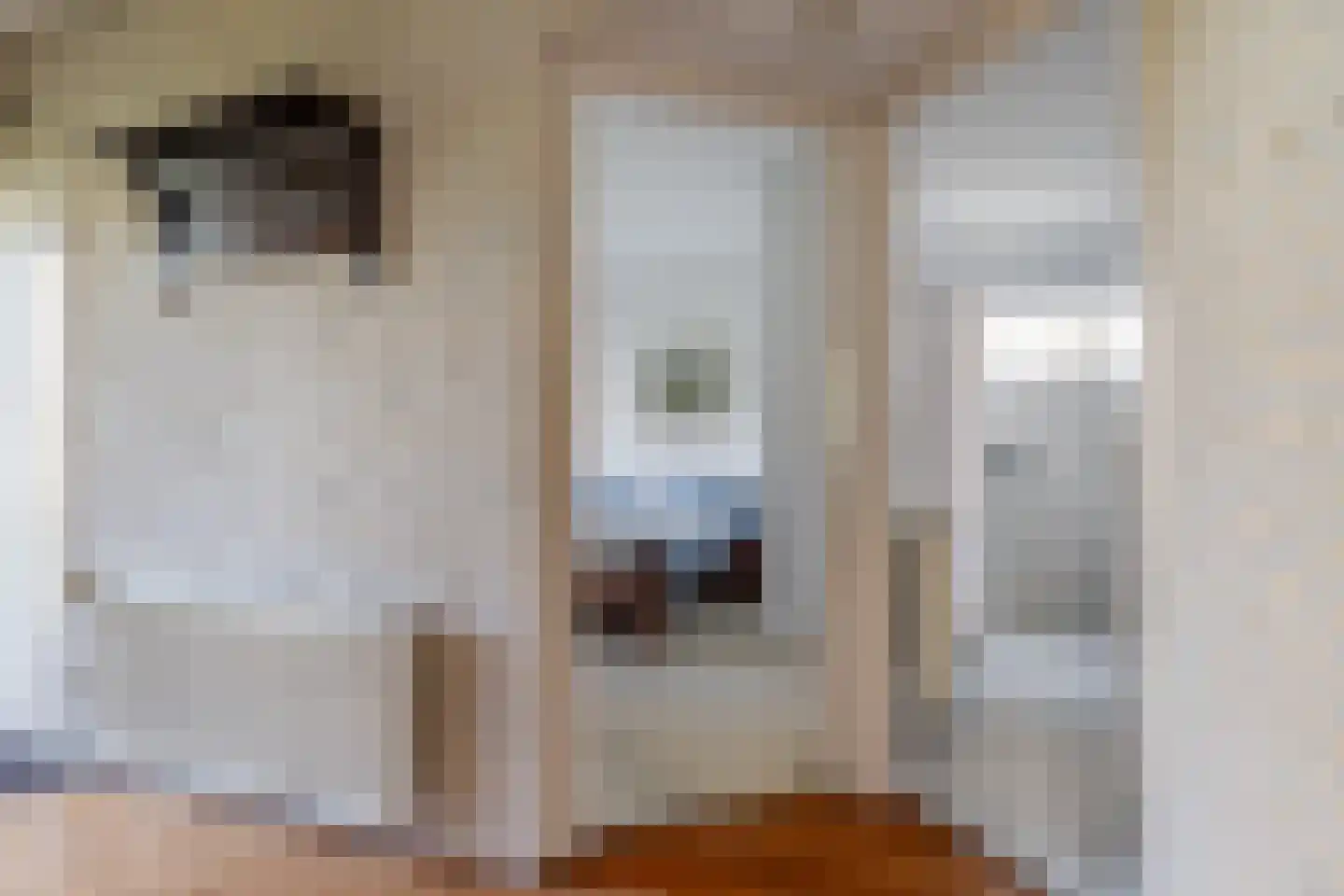 Skelte van Aysmastrjitte 18 Schettens thumbnail 10