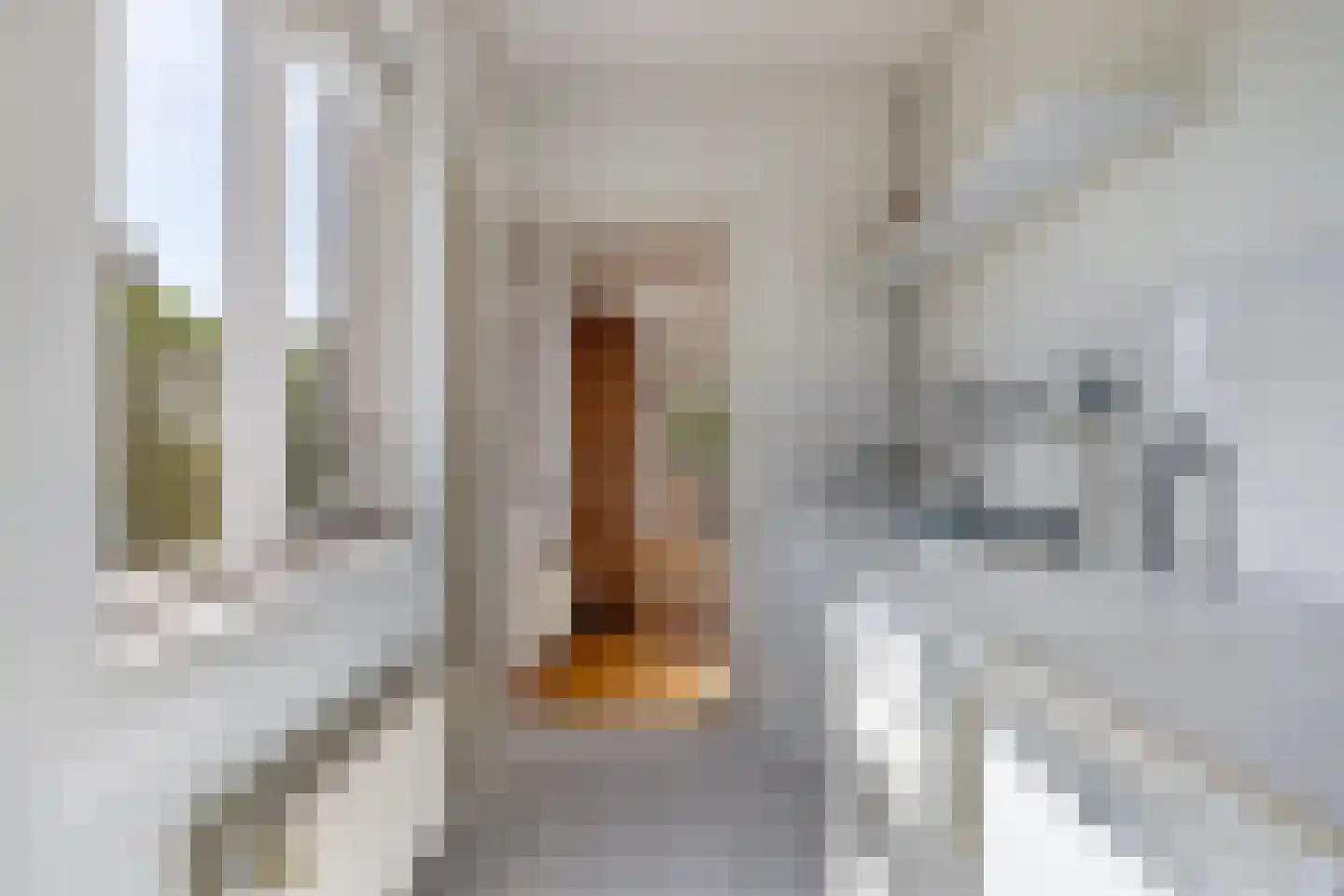 Skelte van Aysmastrjitte 18 Schettens thumbnail 26