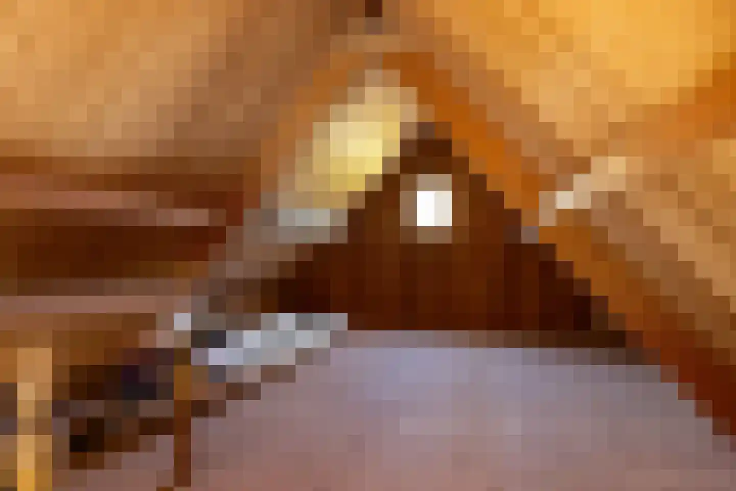 Skelte van Aysmastrjitte 18 Schettens thumbnail 30