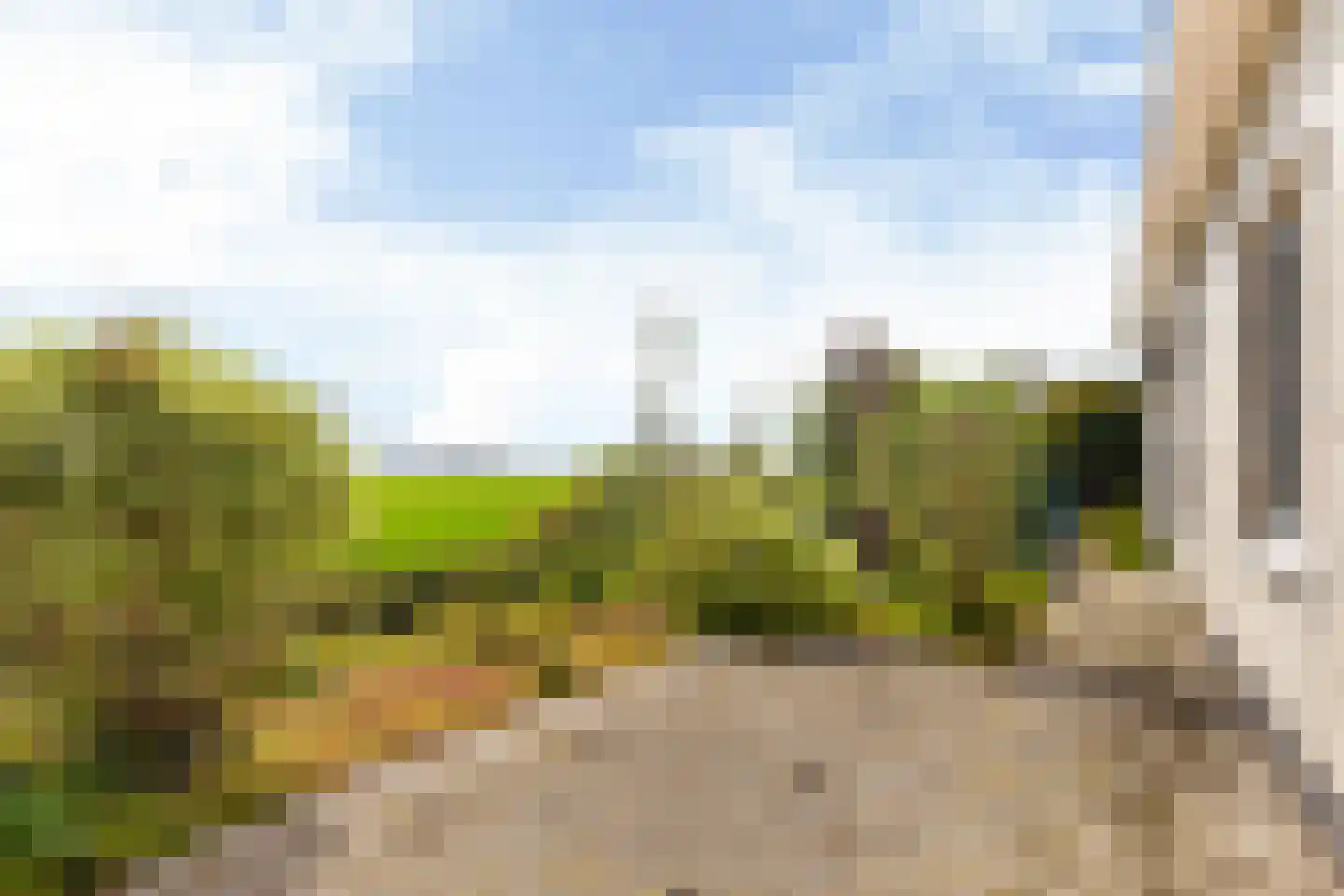 Skelte van Aysmastrjitte 18 Schettens thumbnail 31