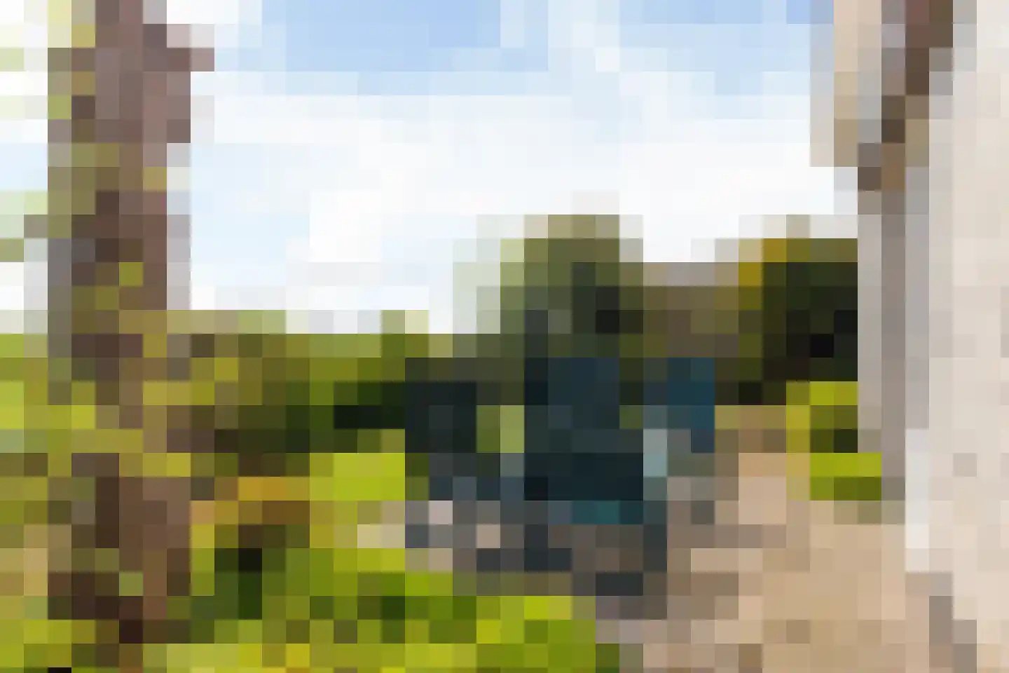 Skelte van Aysmastrjitte 18 Schettens thumbnail 33