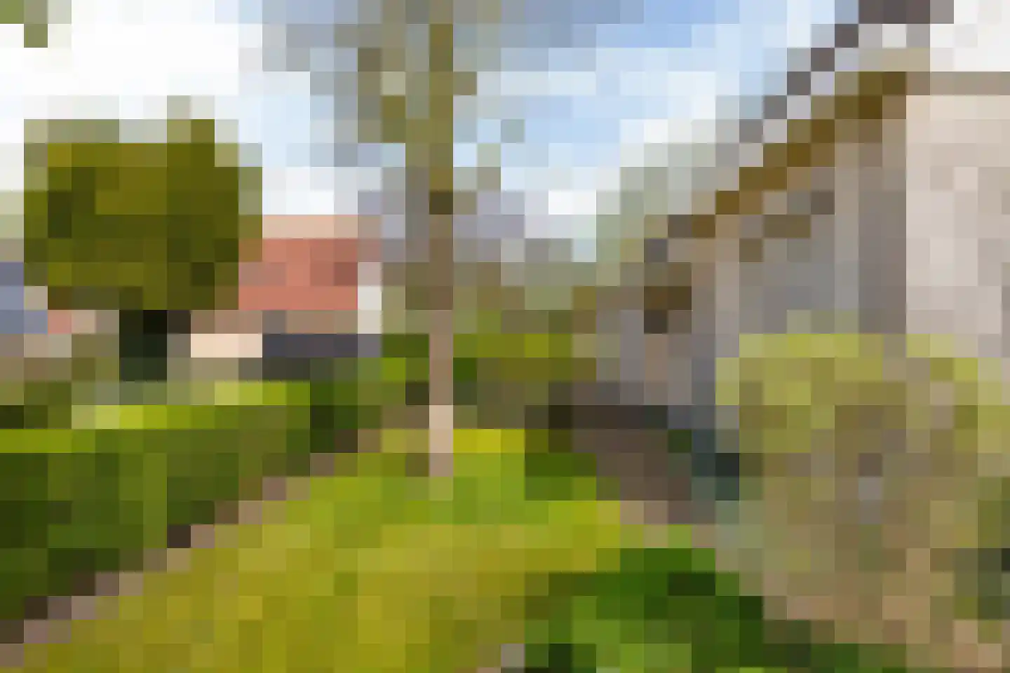 Skelte van Aysmastrjitte 18 Schettens thumbnail 37