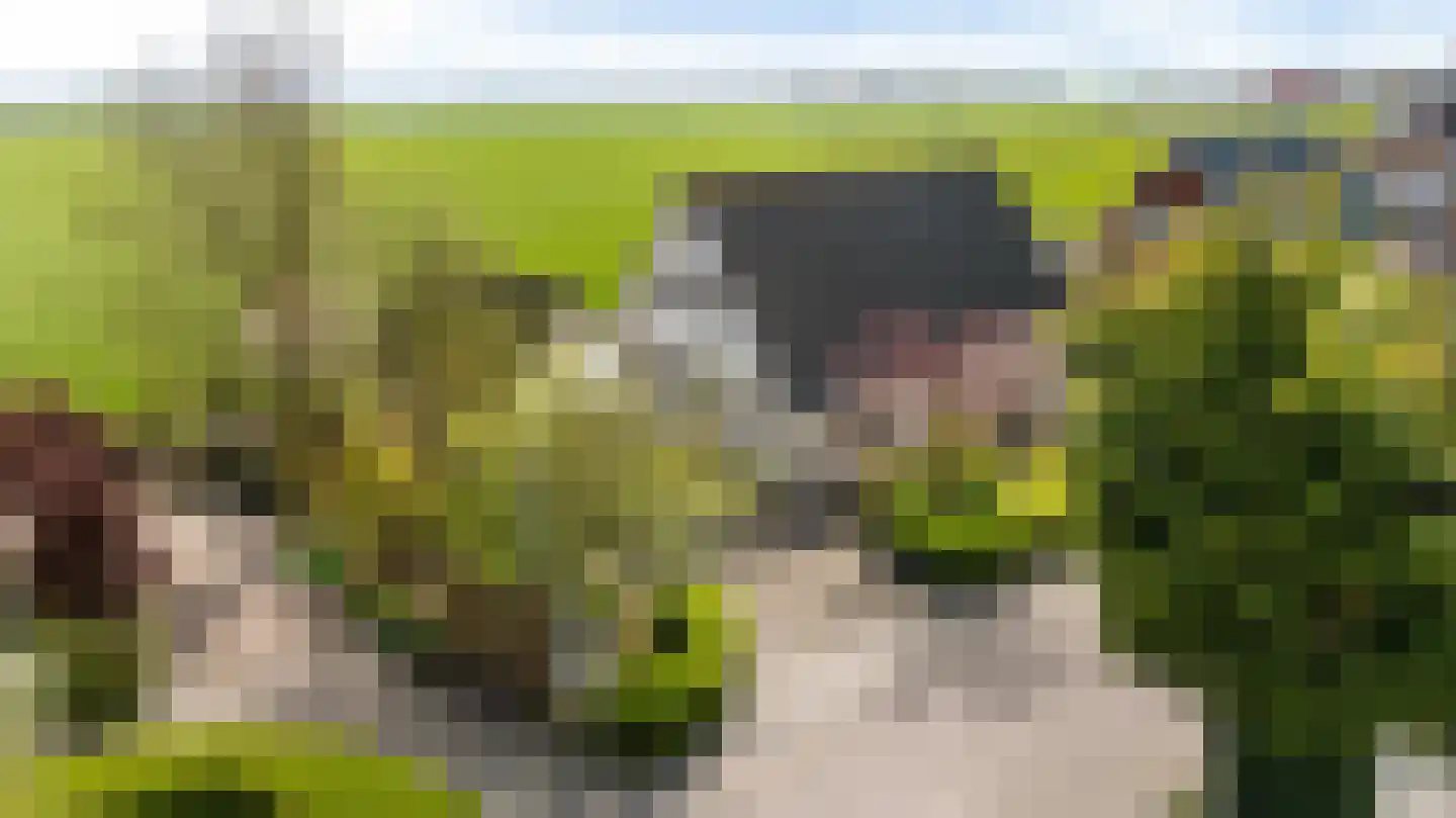 Skelte van Aysmastrjitte 18 Schettens thumbnail 4