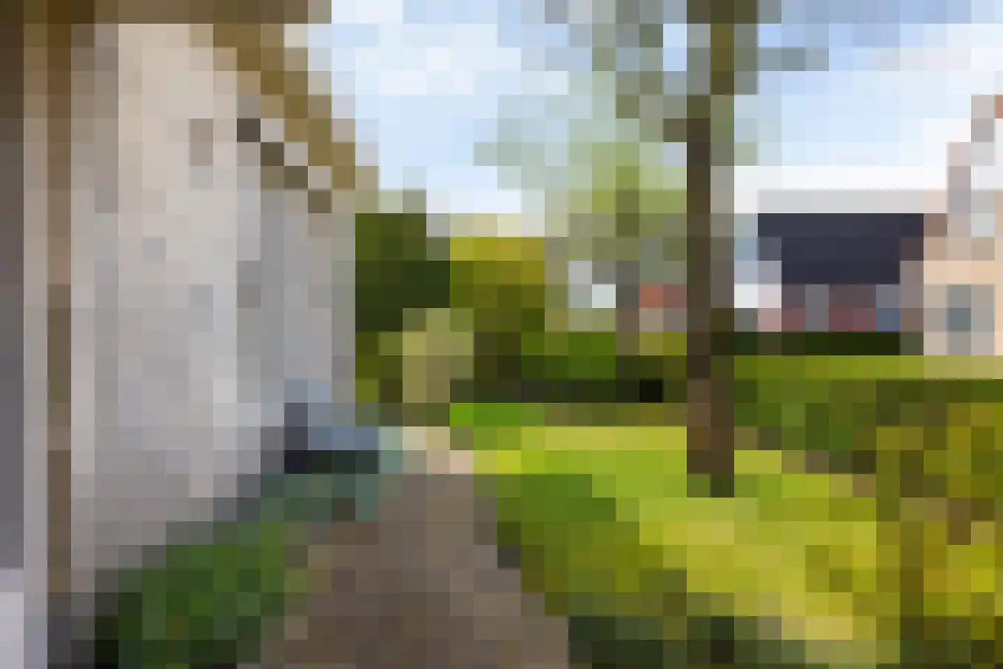 Skelte van Aysmastrjitte 18 Schettens thumbnail 41