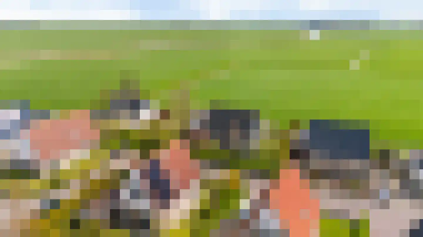 Skelte van Aysmastrjitte 18 Schettens thumbnail 51