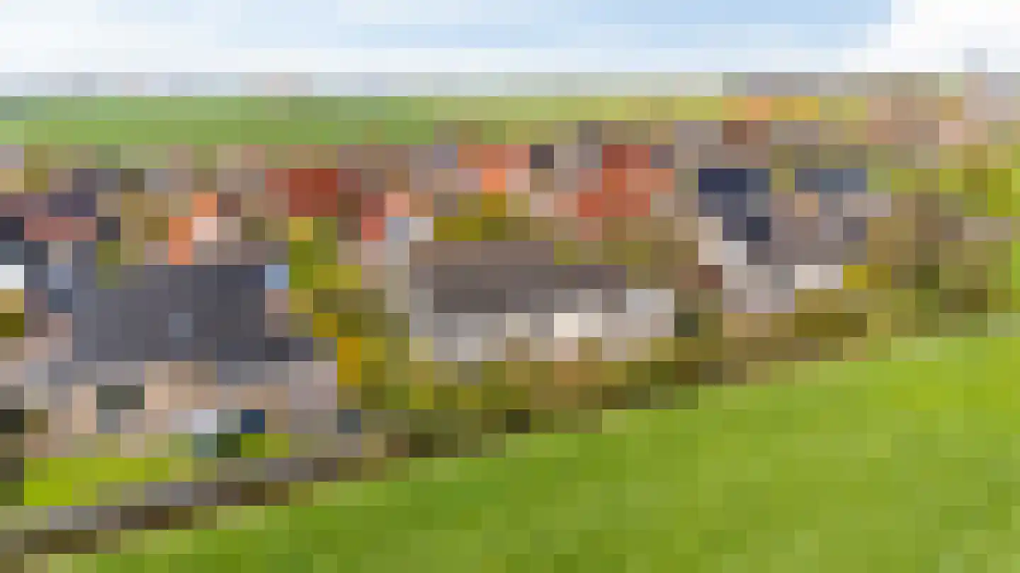 Skelte van Aysmastrjitte 18 Schettens thumbnail 54