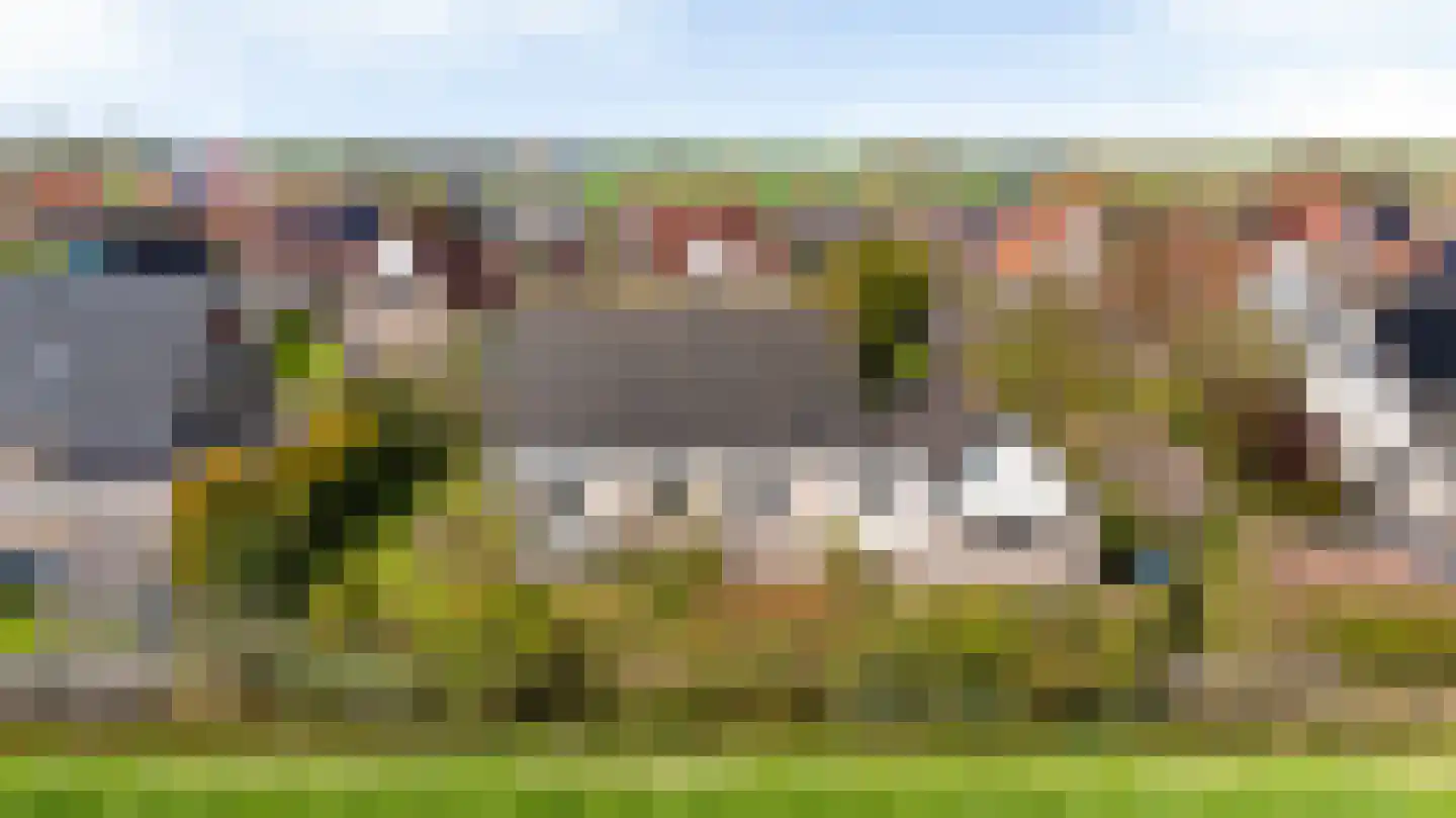 Skelte van Aysmastrjitte 18 Schettens thumbnail 55