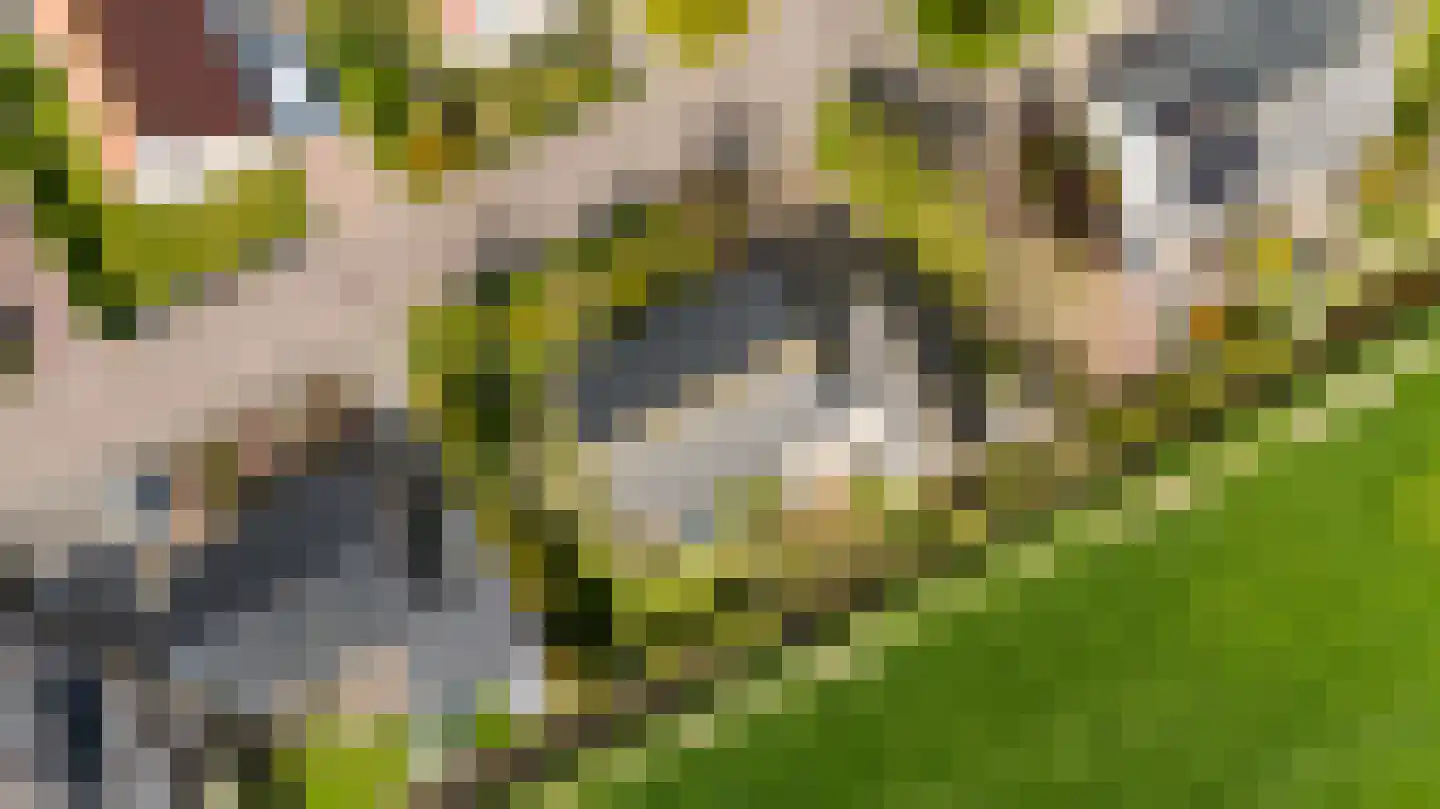 Skelte van Aysmastrjitte 18 Schettens thumbnail 56
