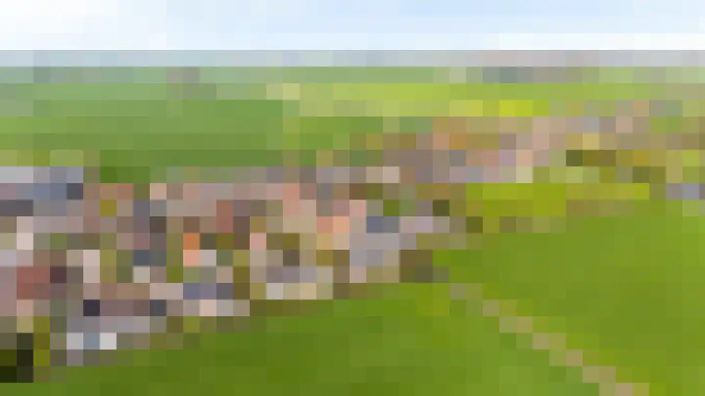 Skelte van Aysmastrjitte 18 Schettens thumbnail 57