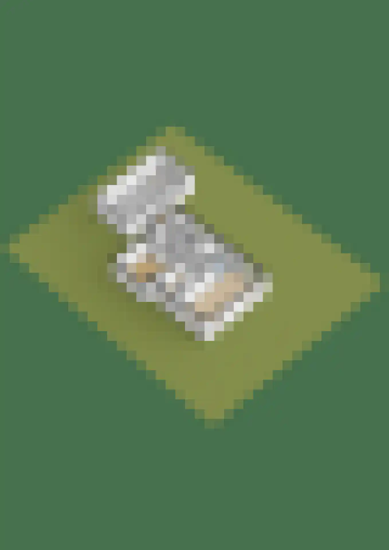 Skelte van Aysmastrjitte 18 Schettens thumbnail 67